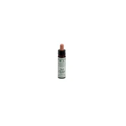 Ainsworths Red Chestnut Rimedio Floreale 10ml