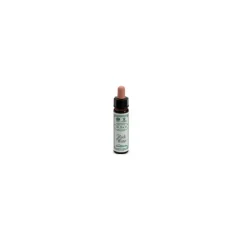 Ainsworths Rock Water Fiore di Bach Rigidità 10 ml