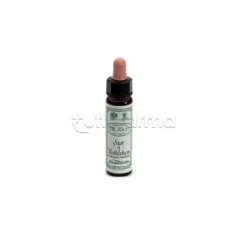 Ainsworths Star Of Bethlehem Fiori di Bach 10ml