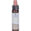 Alchimia Benoit Fiori di Bach Gorse Concentrato 10ml