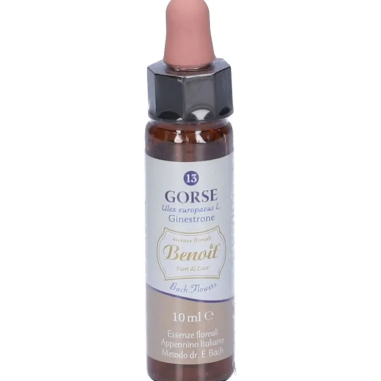 Alchimia Benoit Fiori di Bach Gorse Concentrato 10ml