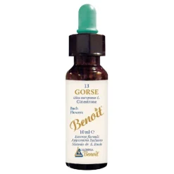 Alchimia Benoit Fiori di Bach Gorse Concentrato 10ml