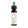 Alchimia Benoit Fiori di Bach Chestnut Bud Gocce 10ml