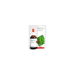 Arcangea Aesculus Hippocastanum per Circolazione Venosa 50ml