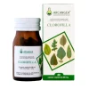Arcangea Clorofilla per Benessere Quotidiano 30 Capsule