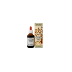 Arcangea Viscangea Integratore per Circolazione 50ml