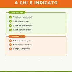 Arnica Compositum Heel Guna Pomata per Dolore e Infiammazione 50 Grammi