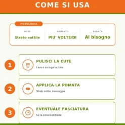 Arnica Compositum Heel Guna Pomata per Dolore e Infiammazione 50 Grammi