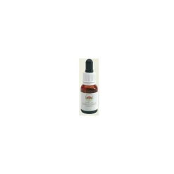 Australian Bush Flower Black Eyed Susan per Rilassamento 15ml