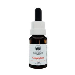 Australian Bush Flower Calophyllum Essenza Floreale 15ml