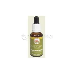 Australian Bush Flower Concentration Gocce 30ml