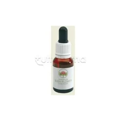 Australian Bush Flower Fringed Violet per Stress Flacone 15ml