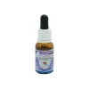 Authenticity Essenza per Espressione e Comunicazione 15ml