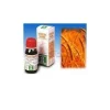 Avena Sativa per Rilassamento e Sonno 50ml