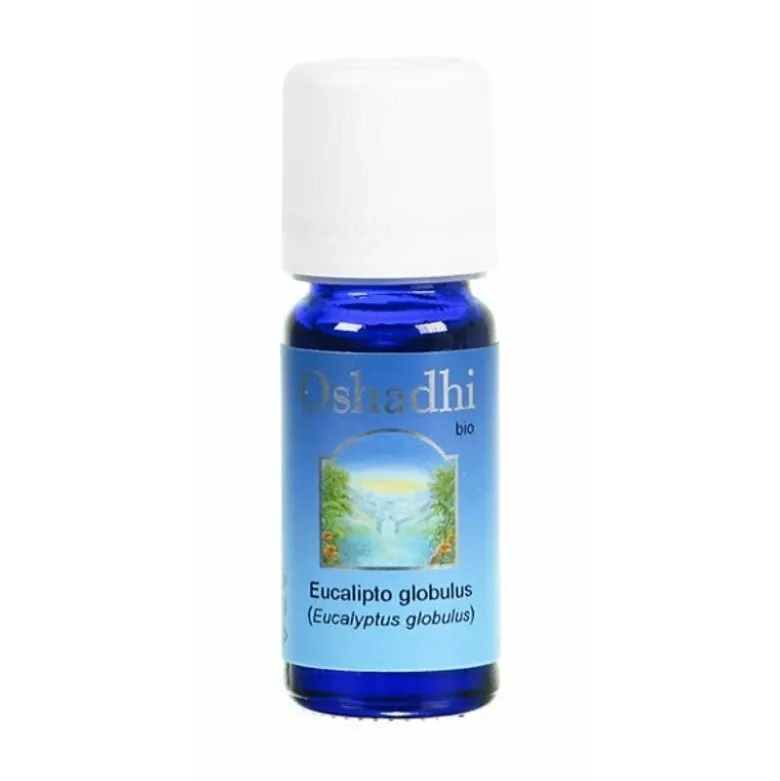 Ayus Olio Essenziale Eucalipto Globulus Bio Balsamico 10 ml
