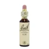 Bach Center Ess Elm per Gestione Responsabilità e Stress 20 ml