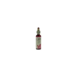 Bach Original Pino Silvestre (Pine) Rimedio Floreale per Sensi Di Colpa Gocce 20ml