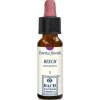 Beech Essenza Floreale 10ml Gocce