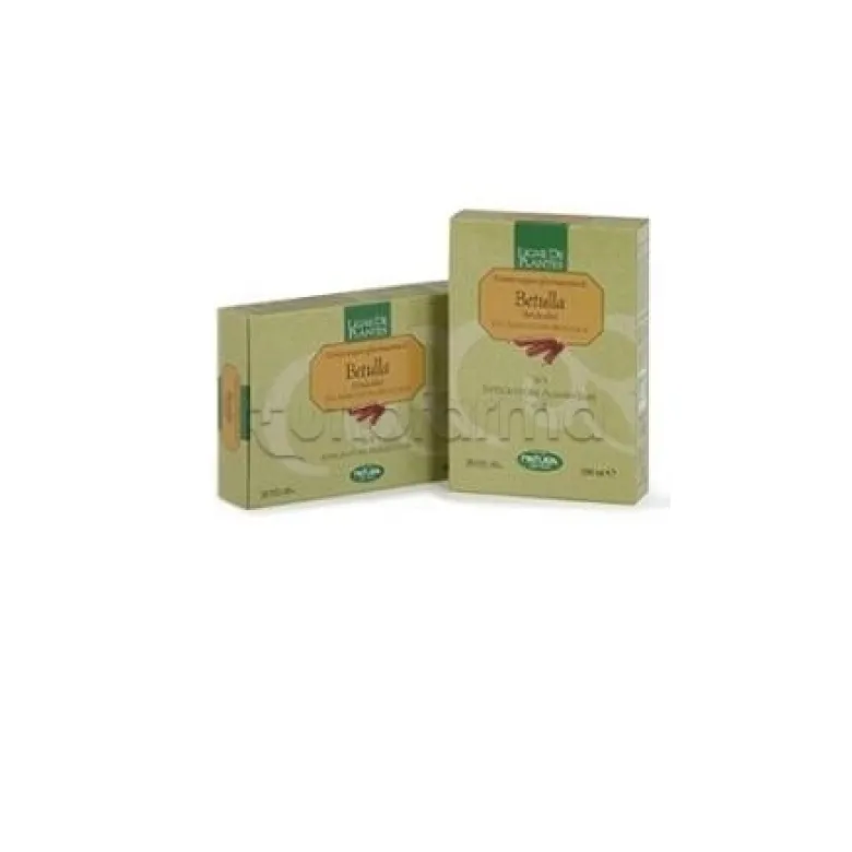 Betulla Biologico per Drenaggio 20 Ampolle da 15ml