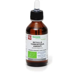 Betulla Tomentosa Amenti Macerato Glicerinato Bio per Depurazione 100 ml