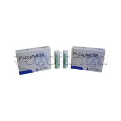 Biogroup Psicophyt Remedy 4A Rimedio Riequilibrante per Stress 4 Tubi di Globuli