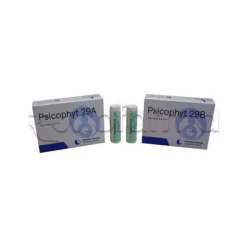 Biogroup Psicophyt Remedy 29A Rimedio Tonico per Stress 4 Tubi di Globuli