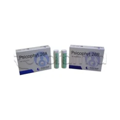 Biogroup Psicophyt Remedy 26A Rimedio Tonico per Stress 4 Tubi di Globuli