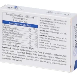 Biogroup Psicophyt Remedy 9B Rimedio Riequilibrante per Stress 4 Tubi di Globuli