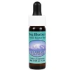Bog Ess 7,4ml