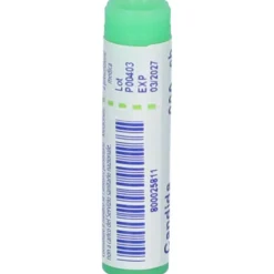 Boiron Candida Albicans 200CH Monodose Globuli Omeopatici