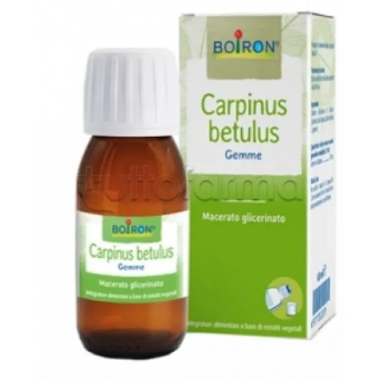 Boiron Carpinus Betulus Macerato Glicerico Gemme 60ml