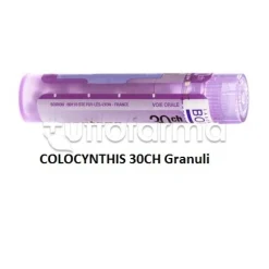 Boiron Colocynthis 30CH Granuli Omeopatici Tubo da 4gr