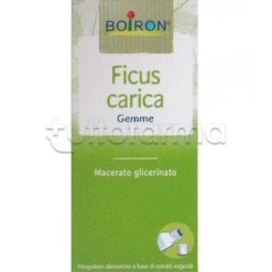 Boiron Ficus Carica Gemme Macerato Glicerico 60ml