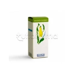 Boiron Fraxinus Excelsior Macerato Glicerico 60ml