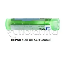 Boiron Hepar Sulfur 5CH Granuli Omeopatici Tubo da 4gr