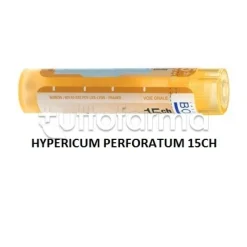 Boiron Hypericum Perforatum 15CH Granuli Omeopatici Tubo da 4gr