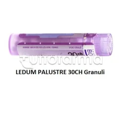 Boiron Ledum Palustre 30CH Granuli Omeopatici Tubo da 4gr