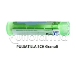 Boiron Pulsatilla 5CH Granuli Omeopatici Tubo da 4gr