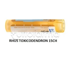 Boiron Rhus Toxicodendron 15CH Granuli Omeopatici Tubo da 4gr