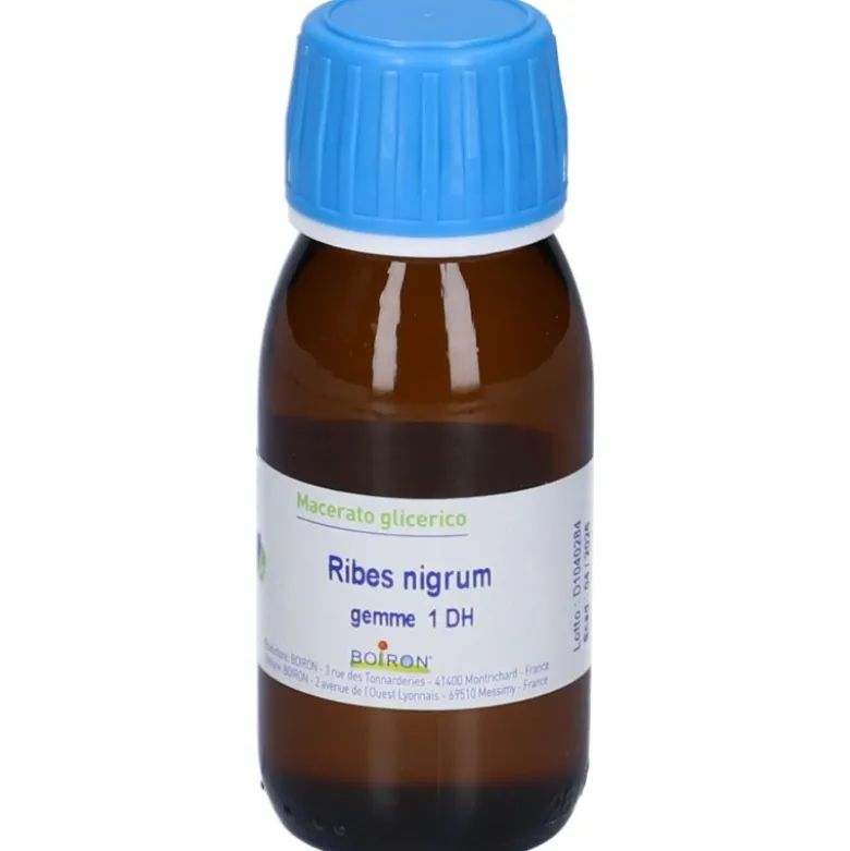 Boiron Ribes Nigrum Macerato Glicerico 60ml