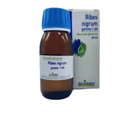 Boiron Ribes Nigrum Macerato Glicerico Set Risparmio 2 Flaconi da 60 ml