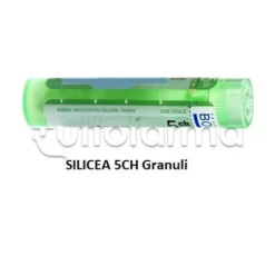 Boiron Silicea 5CH Granuli Omeopatici Tubo da 4gr