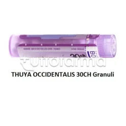 Boiron Thuya Occidentalis 30CH Granuli Omeopatici Tubo da 4gr
