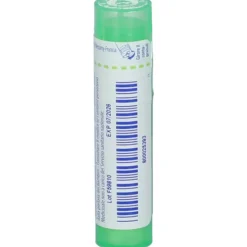 Boiron Thuya Occidentalis 5CH Granuli Omeopatici Tubo da 4gr