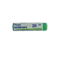 Boiron Thuya Occidentalis 200CH Monodose Globuli Omeopatici