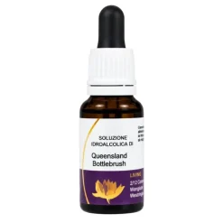 Bottlebrush Essenza 15ml