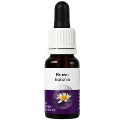Brown Boronia Essenza Australiana Living Essences 15ml