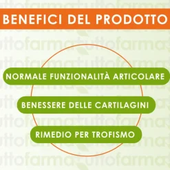 Carti Joint Forte Integratore per Articolazioni 20 Compresse