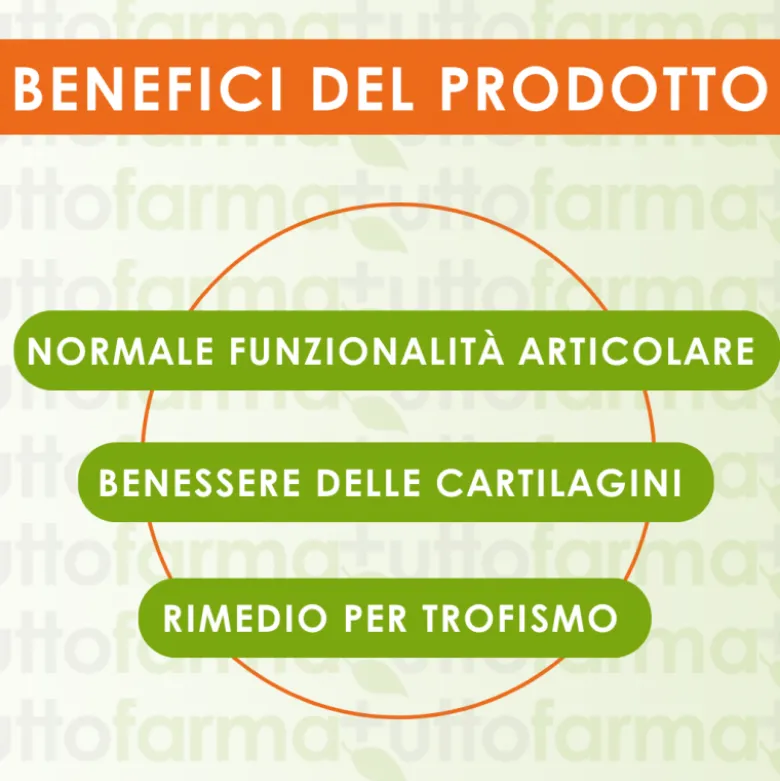 Carti Joint Forte Integratore per Articolazioni 20 Compresse