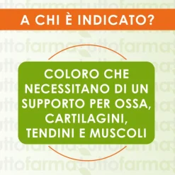 Carti Joint Forte Integratore per Articolazioni 20 Compresse